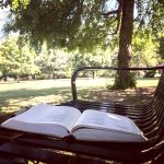 lecture au parc